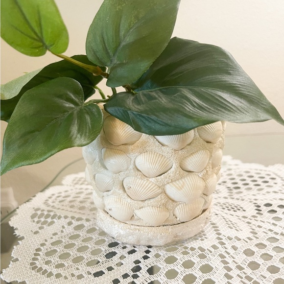 Small Seashell Flower Pot - Picture 7 of 9